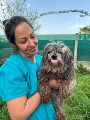 Familia Canis Vet Andresa