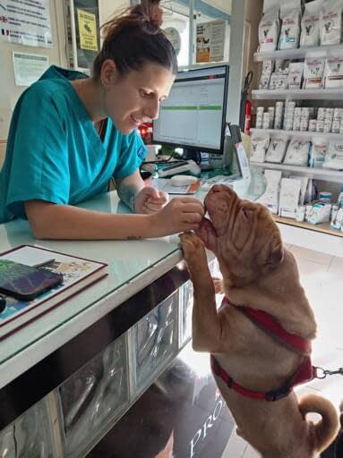 Familia Canis Vet Chop