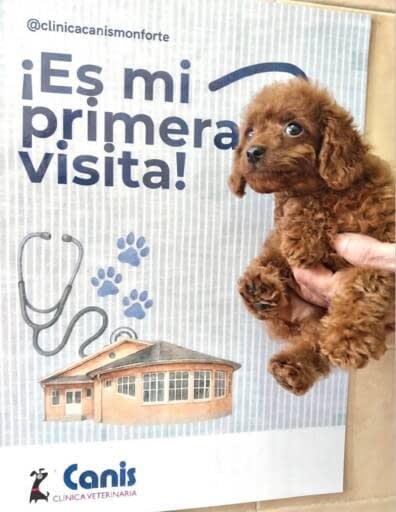 Familia Canis Vet Gaia