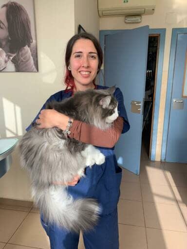 Familia Canis Vet Garabato